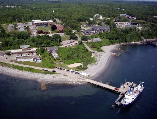 Bay campus aerials