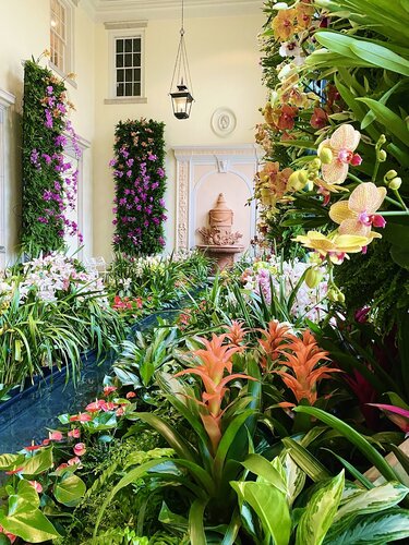 Orchids at Cheekwood 2020. Photo by Brandy Medders. Photo courtesy of Cheekwood Estate & Gardens.