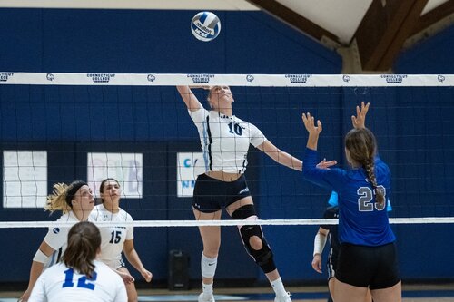 Women's Volleyball vs. Colby
Fall Weekend 2021
Oct. 2, 2021