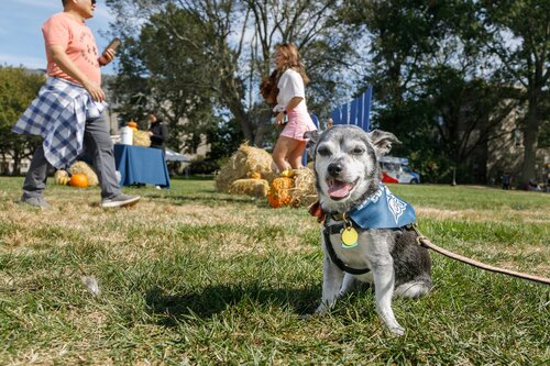 Fall Weekend 2021
Oct. 2, 2021
Bob MacDonnell