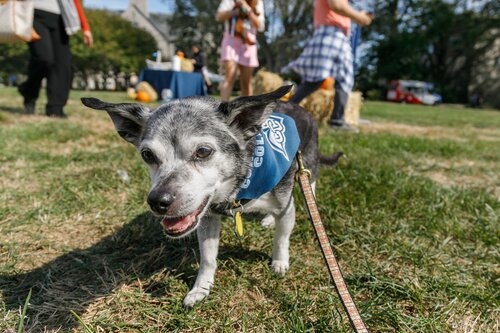 Fall Weekend 2021
Oct. 2, 2021
Bob MacDonnell