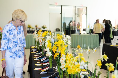 Courtesy of Cheekwood Estate & Gardens