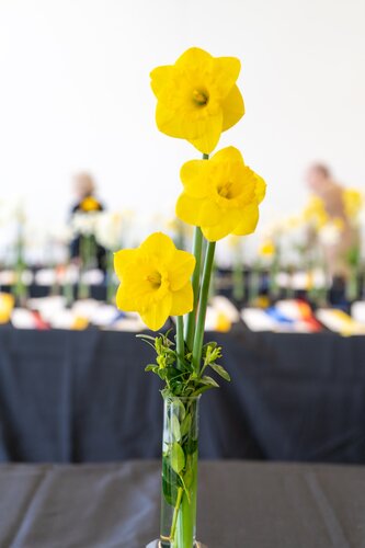 Courtesy of Cheekwood Estate & Gardens