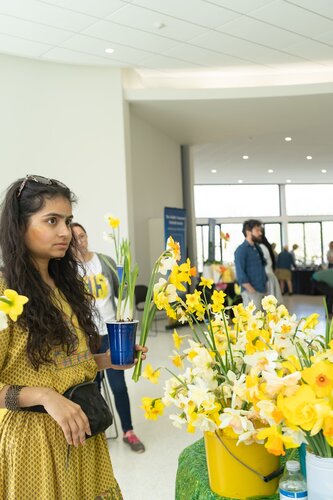 Courtesy of Cheekwood Estate & Gardens