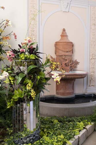 Orchids at Cheekwood 2024. Photo by Caitlin Harris. Photo courtesy of Cheekwood Estate & Gardens.