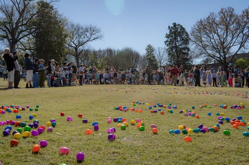 Photo by Diana Rosales. Courtesy of Cheekwood Estate & Gardens.