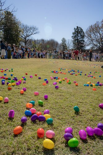 Photo by Diana Rosales. Courtesy of Cheekwood Estate & Gardens.