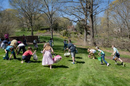 Photo by Diana Rosales. Courtesy of Cheekwood Estate & Gardens.