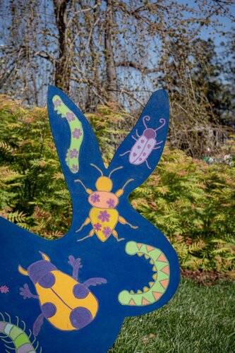 Photo by Diana Rosales. Courtesy of Cheekwood Estate & Gardens.