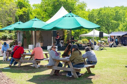 Dogs and Dogwoods. Photo by Diana Rosales. Photo courtesy of Cheekwood Estate & Gardens.
