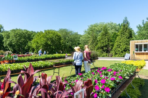 Photo by Diana Rosales. Courtesy of Cheekwood Estate & Gardens.