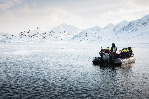 Guests in Svalbard watching birds from a Zodiac, Secret Atlas