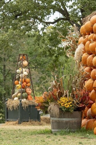 Photo by Caitlin Harris. Courtesy of Cheekwood Estate & Gardens.