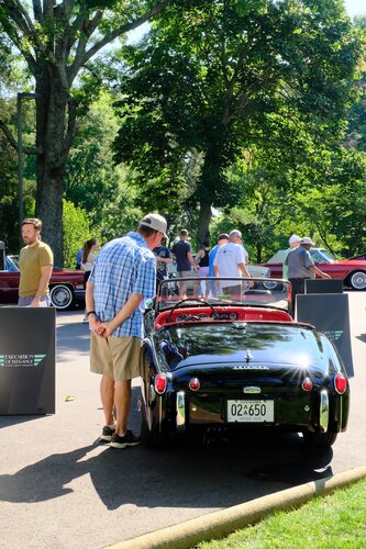 Exposition of Elegance 2024. Photo by Howard Ezell. Courtesy of Cheekwood Estate & Gardens.
