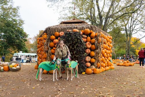 Halloween Pooch Party 2024. Photo by Diana Rosales. Courtesy of Cheekwood Estate & Gardens.