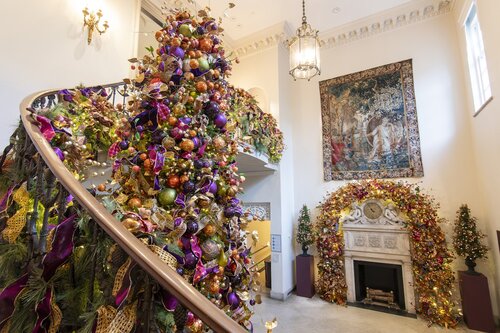 Photo by Caitlin Harris. Courtesy of Cheekwood Estate & Gardens.