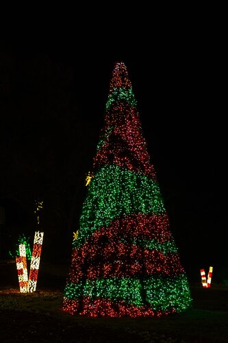 Photo by Elle Danielle. Courtesy of Cheekwood Estate & Gardens.