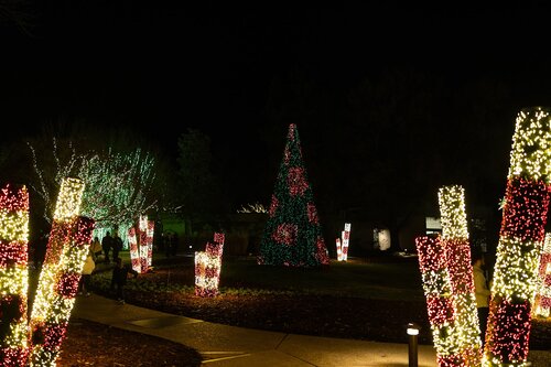 Photo by Elle Danielle. Courtesy of Cheekwood Estate & Gardens.