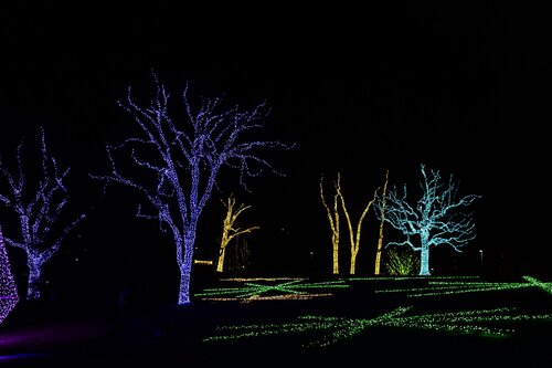 Photo by Elle Danielle. Courtesy of Cheekwood Estate & Gardens.