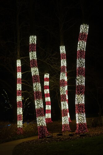 Photo by Elle Danielle. Courtesy of Cheekwood Estate & Gardens.