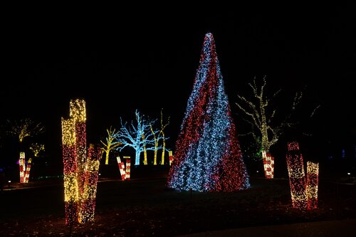 Photo by Elle Danielle. Courtesy of Cheekwood Estate & Gardens.