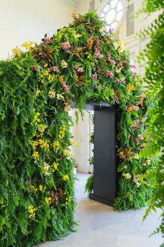 Orchids at Cheekwood 2024. Photo by Diana Rosales. Photo courtesy of Cheekwood Estate & Gardens.