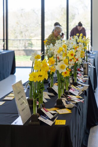Photo by Diana Rosales. Courtesy of Cheekwood Estate & Gardens.