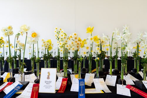 Photo by Diana Rosales. Courtesy of Cheekwood Estate & Gardens.