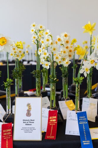 Photo by Diana Rosales. Courtesy of Cheekwood Estate & Gardens.