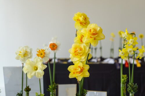 Photo by Diana Rosales. Courtesy of Cheekwood Estate & Gardens.