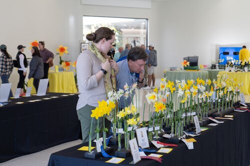 Photo by Diana Rosales. Courtesy of Cheekwood Estate & Gardens.