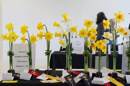 Photo by Diana Rosales. Courtesy of Cheekwood Estate & Gardens.