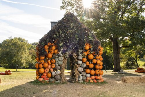 Photo by Caitlin Harris. Courtesy of Cheekwood Estate & Gardens.