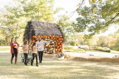 Photo by Caitlin Harris. Courtesy of Cheekwood Estate & Gardens.