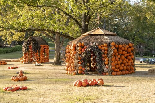 Photo by Caitlin Harris. Courtesy of Cheekwood Estate & Gardens.