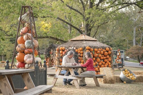 Photo by Caitlin Harris. Courtesy of Cheekwood Estate & Gardens.