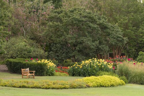 Photo by Caitlin Harris. Courtesy of Cheekwood Estate & Gardens.