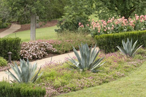 Photo by Caitlin Harris. Courtesy of Cheekwood Estate & Gardens.