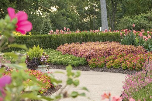 Photo by Caitlin Harris. Courtesy of Cheekwood Estate & Gardens.