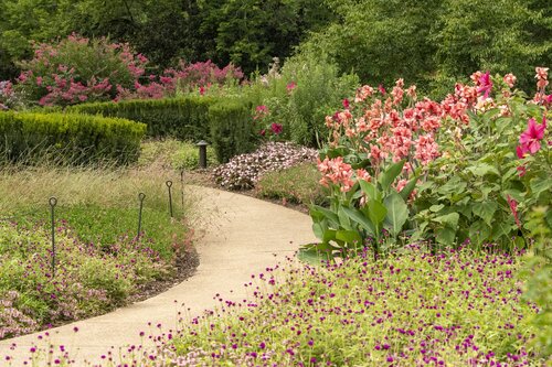 Photo by Caitlin Harris. Courtesy of Cheekwood Estate & Gardens.