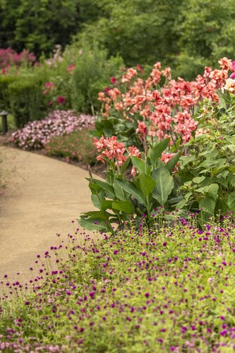 Photo by Caitlin Harris. Courtesy of Cheekwood Estate & Gardens.