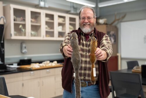 Mammalogy, Biology, Joseph Whittaker,