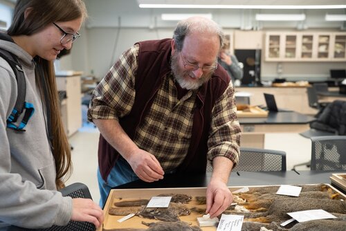 Mammalogy, Biology, Joseph Whittaker,