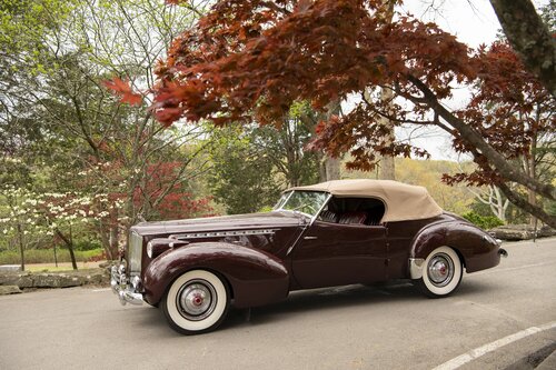 Photo by Caitlin Harris. Courtesy of Cheekwood Estate & Gardens.