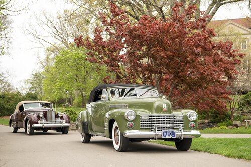 Exposition of Elegance 2025. Photo by Caitlin Harris. Courtesy of Cheekwood Estate & Gardens.