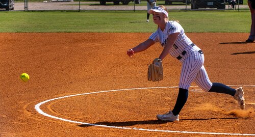 Spring 2025 softball game
field