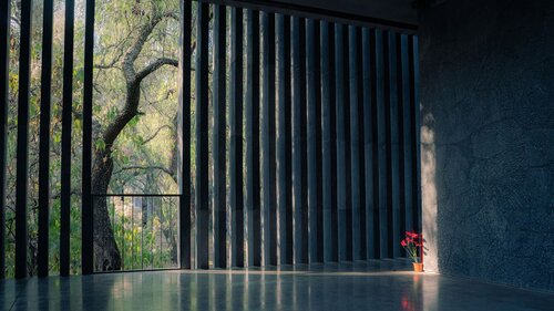 Architecture
Sebastian Gonzalez 
St. Mark's School of Texas
Dallas, TX
Scott Hunt