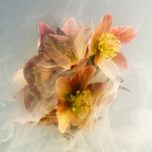 Still Life
Joseph Stalder
St. Mark's School of Texas
Dallas, TX
Scott Hunt