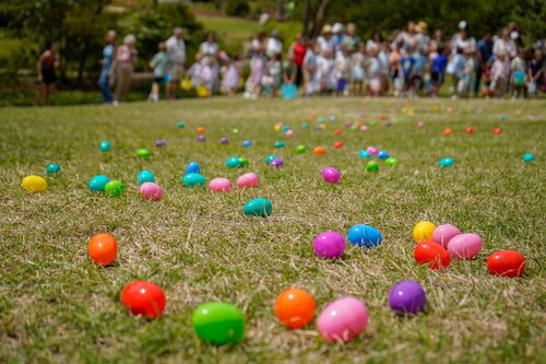 Photo by Diana Rosales. Courtesy of Cheekwood Estate & Gardens.