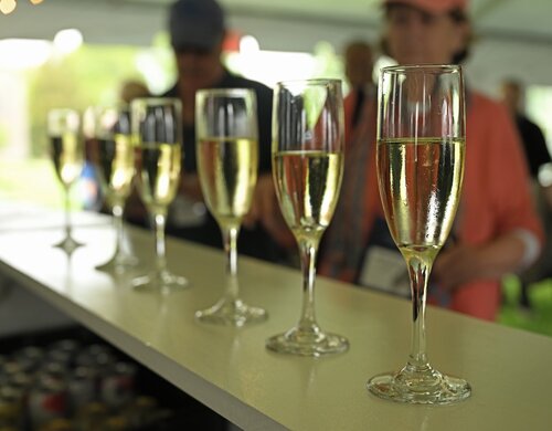 Reunion 2025 Class of ’75 President’s Champagne Reception Friday, May 30, 2025 in the Oak tent on Tempel Green. (Connecticut College photos by Sean D. Elliot)